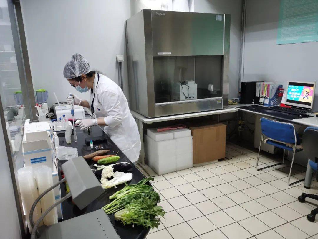 金川食品检测实验室装修方案